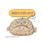深海魚沼にハマったさんコウガのお魚図鑑（個別スタンプ：10）