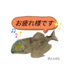 深海魚沼にハマったさんコウガのお魚図鑑（個別スタンプ：11）