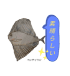 深海魚沼にハマったさんコウガのお魚図鑑（個別スタンプ：13）