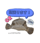 深海魚沼にハマったさんコウガのお魚図鑑（個別スタンプ：14）