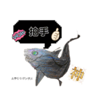深海魚沼にハマったさんコウガのお魚図鑑（個別スタンプ：15）