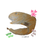 深海魚沼にハマったさんコウガのお魚図鑑（個別スタンプ：16）