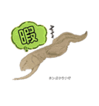 深海魚沼にハマったさんコウガのお魚図鑑（個別スタンプ：26）