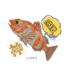 深海魚沼にハマったさんコウガのお魚図鑑（個別スタンプ：30）