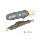 深海魚沼にハマったさんコウガのお魚図鑑（個別スタンプ：34）