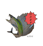深海魚沼にハマったさんコウガのお魚図鑑（個別スタンプ：37）