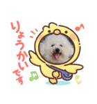 ビションのみんと♂♡チワワのくま♂も登場（個別スタンプ：6）