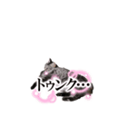 猫大集合①(あむ・きなこ・子猫2匹)（個別スタンプ：6）