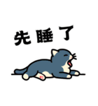 かわいい動物 part 1（個別スタンプ：30）