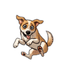 色々な感情の犬（個別スタンプ：2）