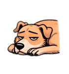 色々な感情の犬（個別スタンプ：16）