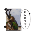 昆虫スタンプbyクワガタ（個別スタンプ：2）