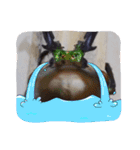 昆虫スタンプbyクワガタ（個別スタンプ：5）