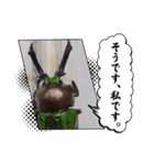 昆虫スタンプbyクワガタ（個別スタンプ：8）