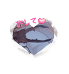 昆虫スタンプbyクワガタ（個別スタンプ：11）