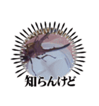 昆虫スタンプbyクワガタ（個別スタンプ：12）