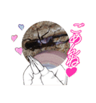 昆虫スタンプbyクワガタ（個別スタンプ：14）