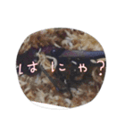 昆虫スタンプbyクワガタ（個別スタンプ：15）