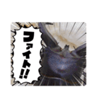 昆虫スタンプbyクワガタ（個別スタンプ：17）