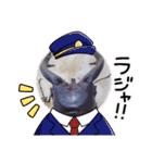 昆虫スタンプbyクワガタ（個別スタンプ：19）