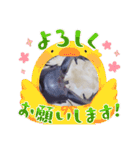 昆虫スタンプbyクワガタ（個別スタンプ：23）