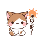 もちもちねこちゃんず（個別スタンプ：1）