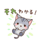 もちもちねこちゃんず（個別スタンプ：5）