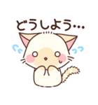 もちもちねこちゃんず（個別スタンプ：31）