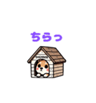 【動く】感情豊かな柴犬：ファミリー編 #2（個別スタンプ：2）