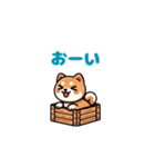 【動く】感情豊かな柴犬：ファミリー編 #2（個別スタンプ：17）