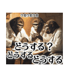 すごく使える！ゴリラお医者さんのスタンプ（個別スタンプ：36）