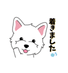 犬スタンプ＃4『ウエスティー』（個別スタンプ：22）