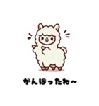 もふもふアルパカのLINEスタンプ1（個別スタンプ：33）