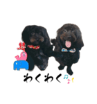 山下さんちのLady＆Bisco のデカ文字（個別スタンプ：2）