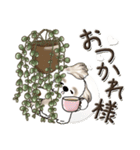 シーズー犬【草花と一緒】2024（個別スタンプ：5）