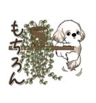 シーズー犬【草花と一緒】2024（個別スタンプ：19）