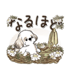 シーズー犬【草花と一緒】2024（個別スタンプ：30）