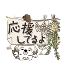 シーズー犬【草花と一緒】2024（個別スタンプ：31）