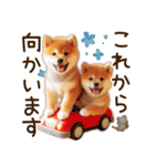 柴犬の待ち合わせ＆日常会話（個別スタンプ：3）