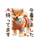 柴犬の待ち合わせ＆日常会話（個別スタンプ：6）