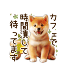 柴犬の待ち合わせ＆日常会話（個別スタンプ：7）