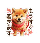 柴犬の待ち合わせ＆日常会話（個別スタンプ：11）