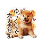 柴犬の待ち合わせ＆日常会話（個別スタンプ：18）