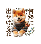 柴犬の待ち合わせ＆日常会話（個別スタンプ：27）