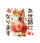 柴犬の待ち合わせ＆日常会話（個別スタンプ：28）