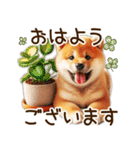 柴犬の待ち合わせ＆日常会話（個別スタンプ：31）