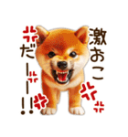 柴犬の待ち合わせ＆日常会話（個別スタンプ：38）