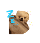 るるぽぽスタンプ（個別スタンプ：2）