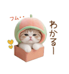 メロン帽が可愛い 気遣いスコティッシュ猫2（個別スタンプ：17）