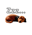 ふわふわフェルト〜ダックスフンド日時会話（個別スタンプ：13）